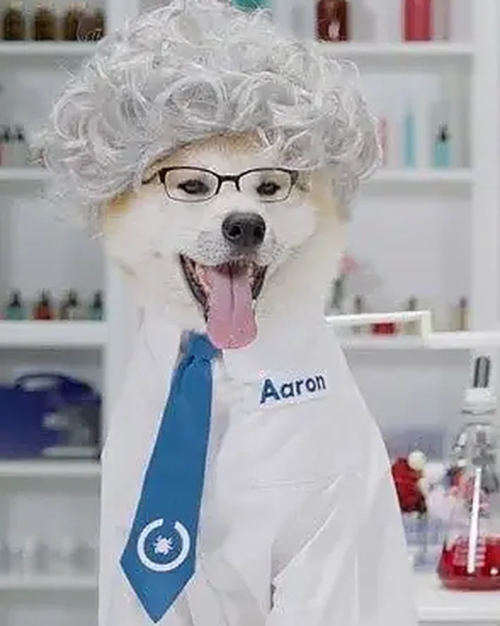 Aaron mit Einstein-Perücke, Brille und Laborkittel im Labor